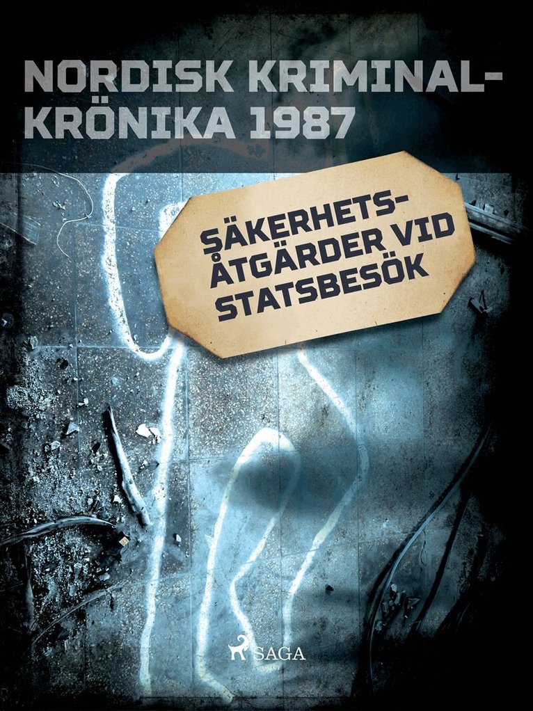 Diverse - Säkerhetsåtgärder vid statsbesök, E-bok