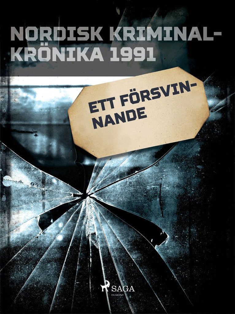 Diverse - Ett försvinnande, E-bok