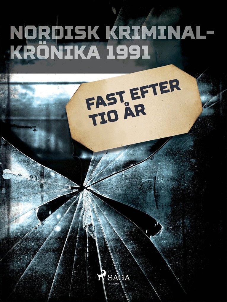 Diverse - Fast efter tio år, E-bok
