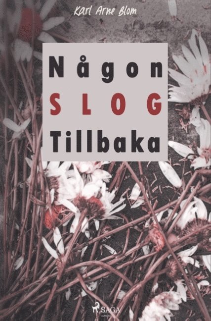 Karl Arne Blom - Någon slog tillbaka, Häftad