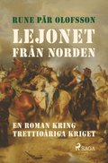 Lejonet frn Norden : en roman kring Trettioriga kriget