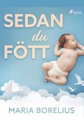 Sedan du ftt : en bok om hur du tar hand om dig sjlv efter graviditet och frlossning