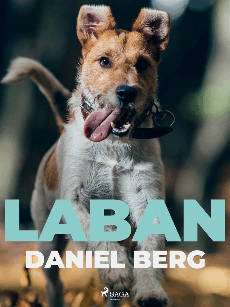 Daniel Berg - Laban, E-bok