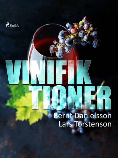 Lars Torstenson, Bernt Danielsson - Vinifiktioner, E-bok