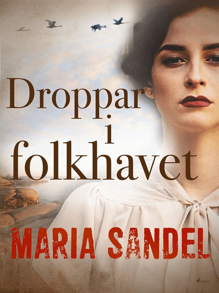 Maria Sandel - Droppar i folkhavet, E-bok