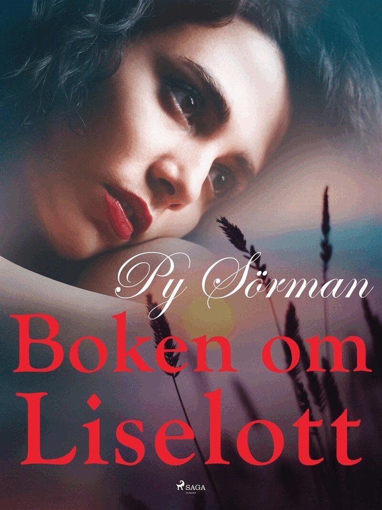 Py Sörman - Boken om Liselott, E-bok