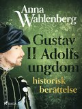 Gustav II Adolfs ungdom: historisk berttelse