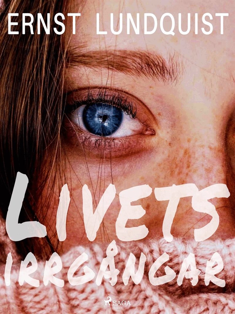 Ernst Lundquist - Livets irrgångar, E-bok