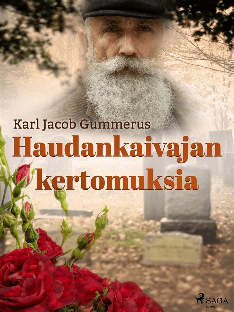 Karl Jacob Gummerus - Haudankaivajan kertomuksia, E-bok