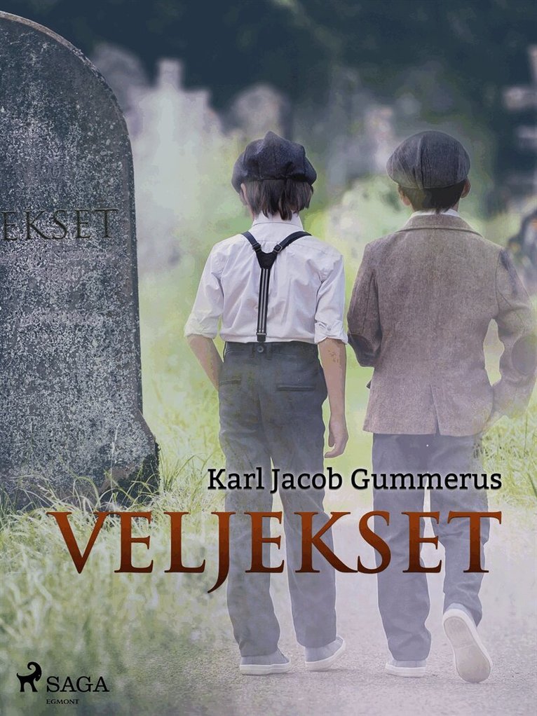 Karl Jacob Gummerus - Veljekset, E-bok