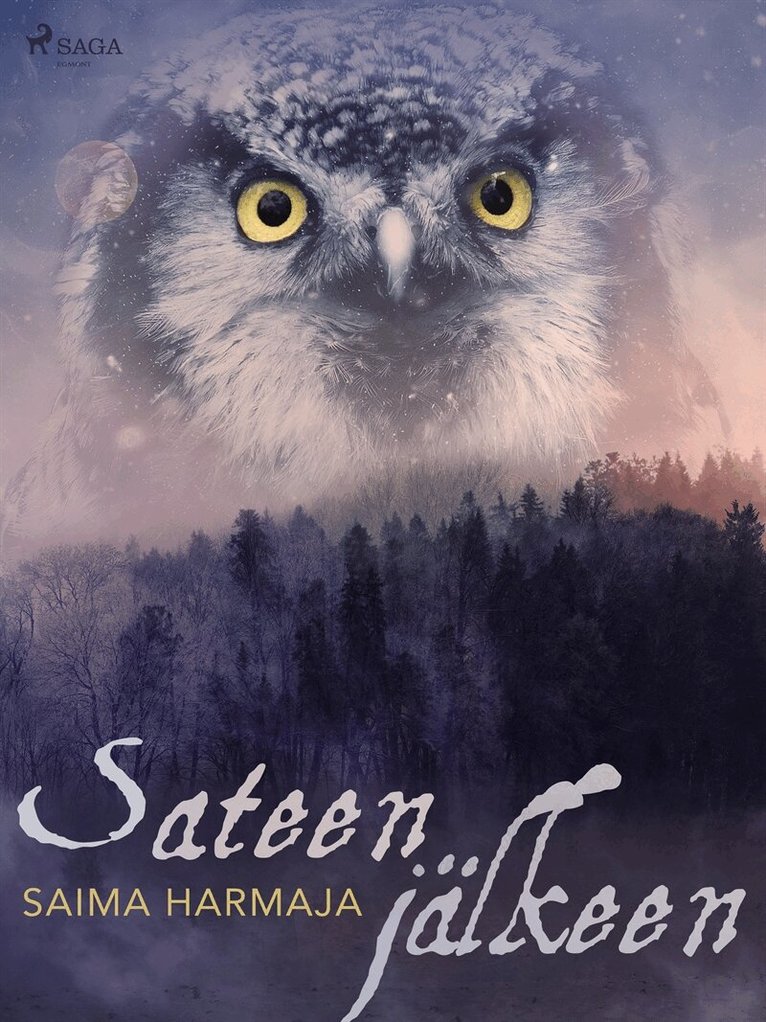 Saima Harmaja - Sateen jälkeen, E-bok