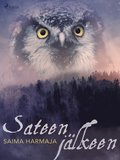 Sateen jlkeen