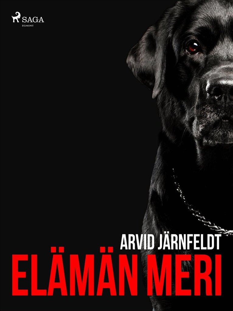 Arvid Järnefelt - Elämän meri, E-bok