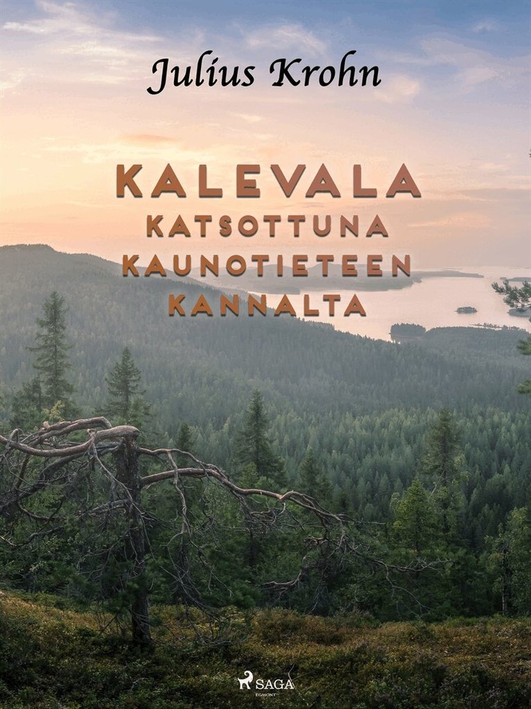 Julius Krohn - Kalevala katsottuna kaunotieteen kannalta, E-bok
