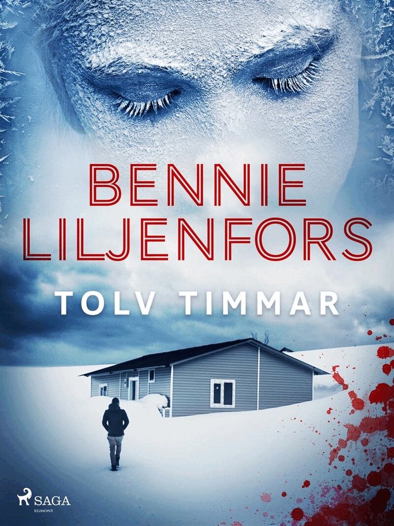 Bennie Liljenfors - Tolv timmar, E-bok