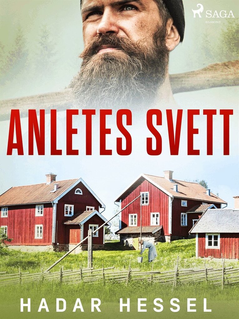 Hadar Hessel - I anletes svett, E-bok
