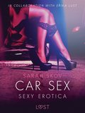 Car Sex - Sexy erotica
