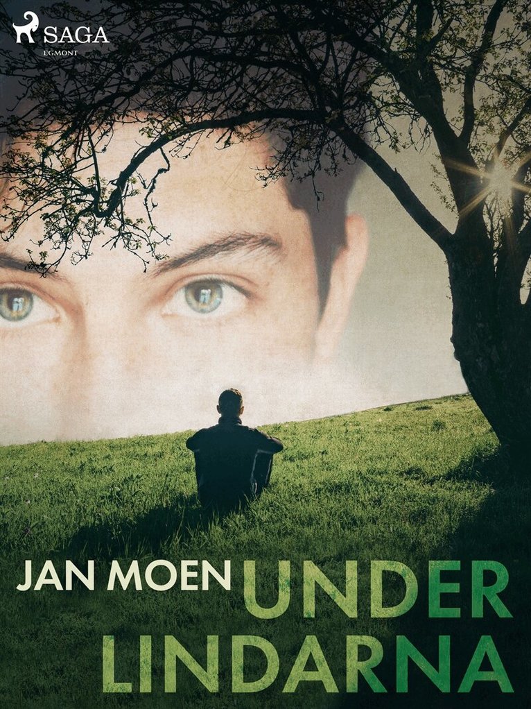 Jan Moen - Under lindarna, E-bok