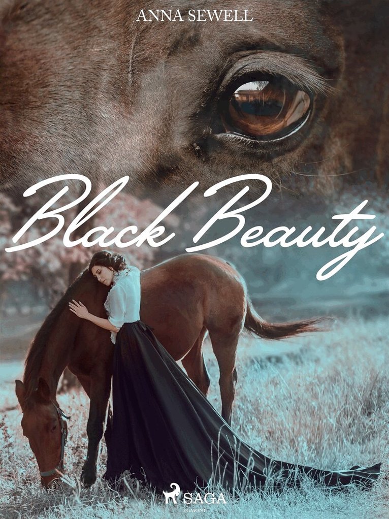 Anna Sewell - Black Beauty, E-bok