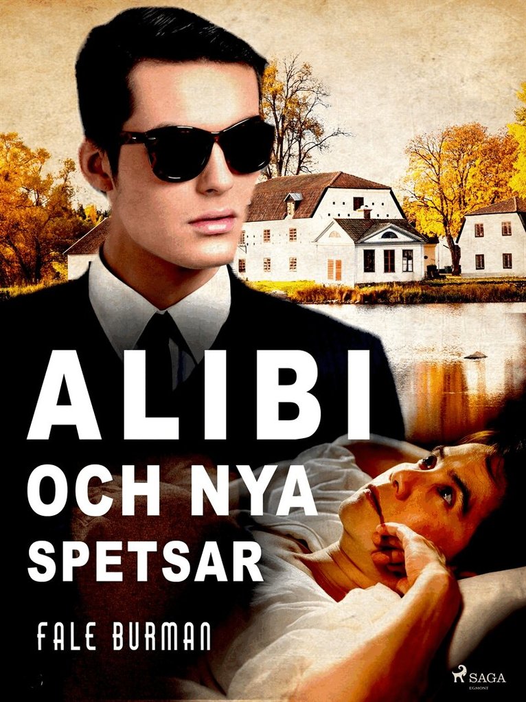 Fale Burman - Alibi och nya spetsar, E-bok