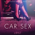 Car Sex - Sexy erotica