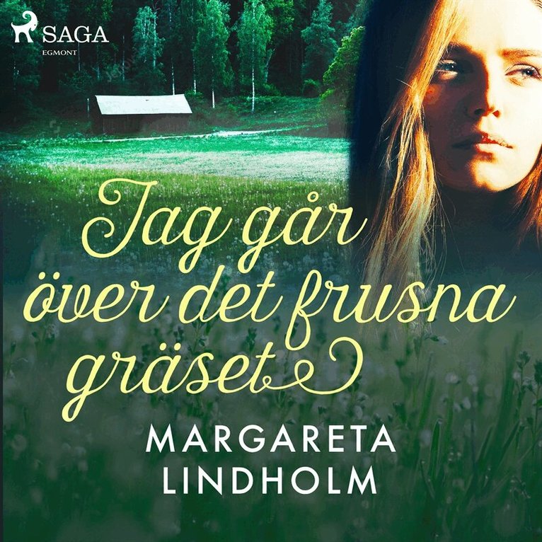 Margareta Lindholm - Jag går över det frusna gräset, Ljudbok
