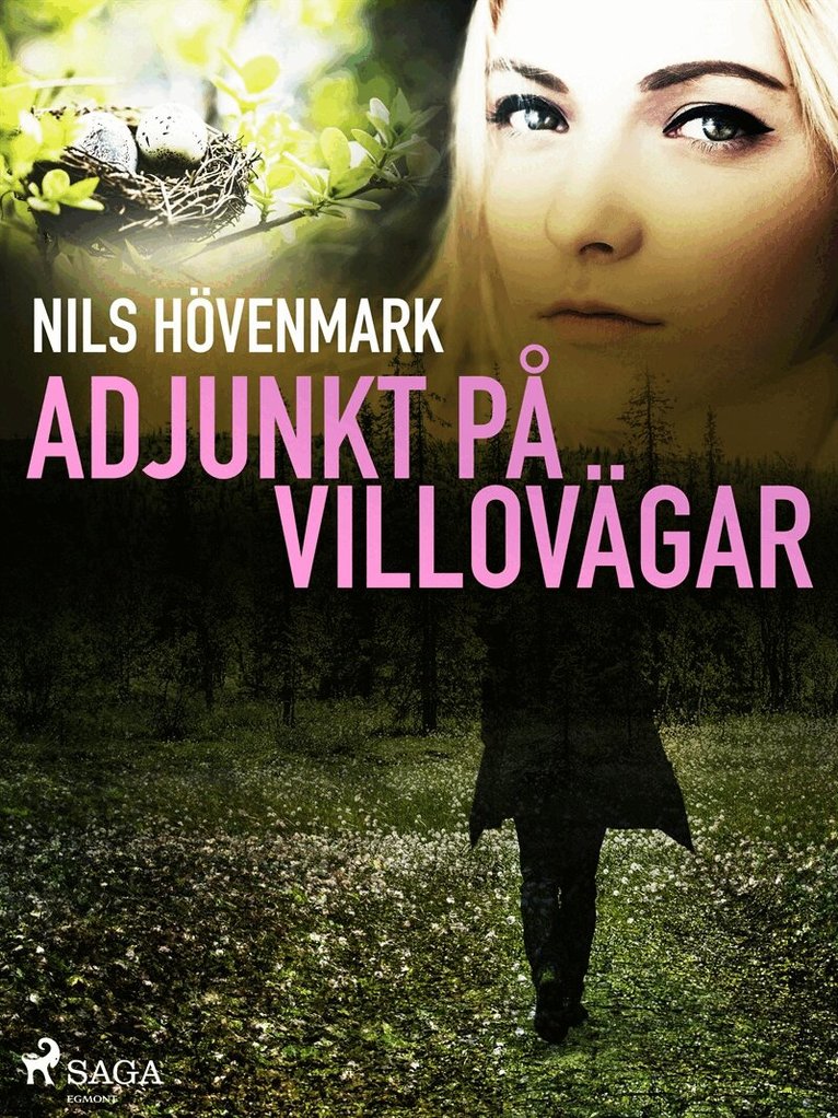 Nils Hövenmark - Adjunkt på villovägar, E-bok
