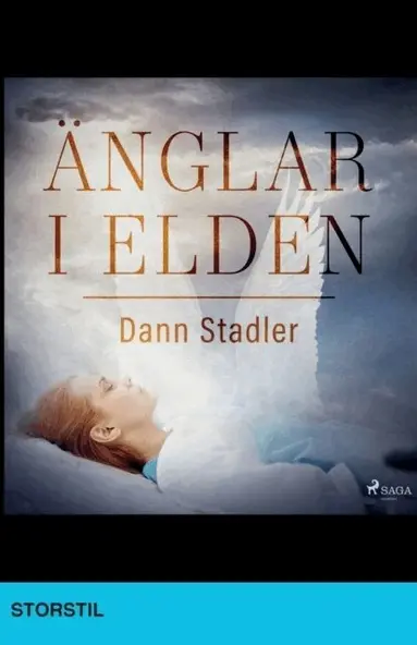 Dann Stadler - Änglar i elden, Häftad
