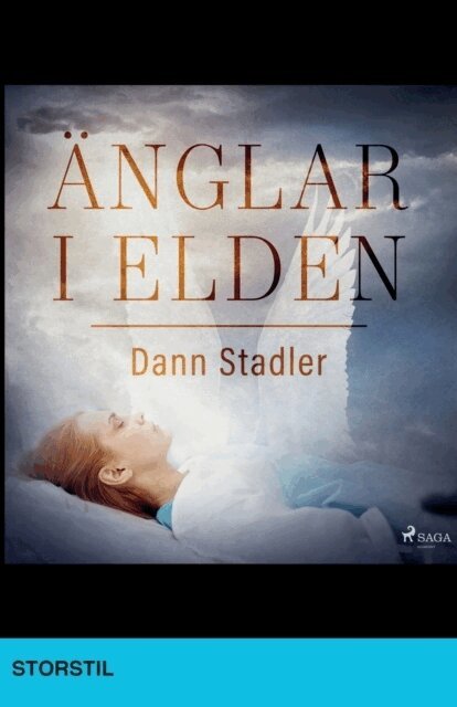 Dann Stadler - Änglar i elden, Häftad