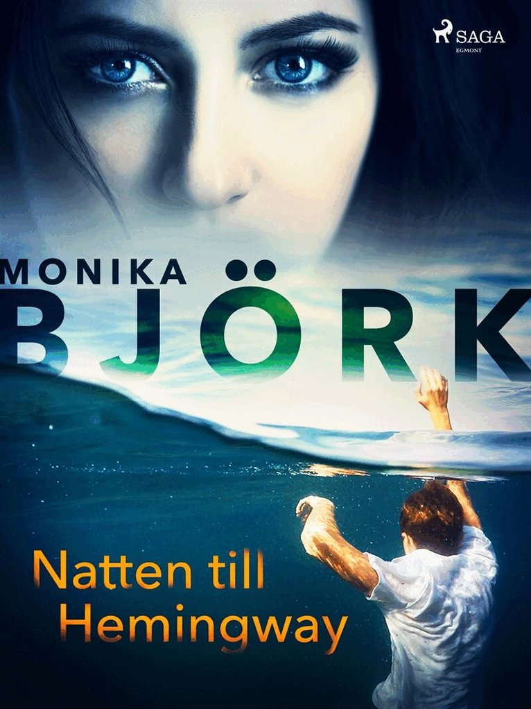 Monika Björk - Natten till Hemingway, E-bok