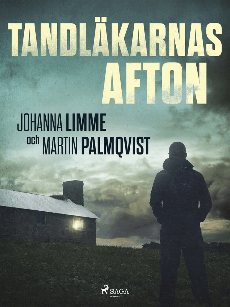 Johanna Limme, Martin Palmqvist - Tandläkarnas afton, E-bok