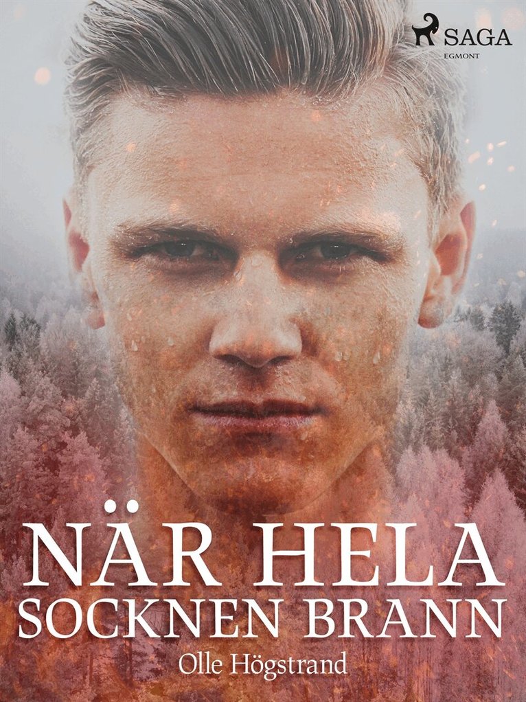 Olle Högstrand - När hela socknen brann, E-bok