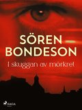 I skuggan av mrkret