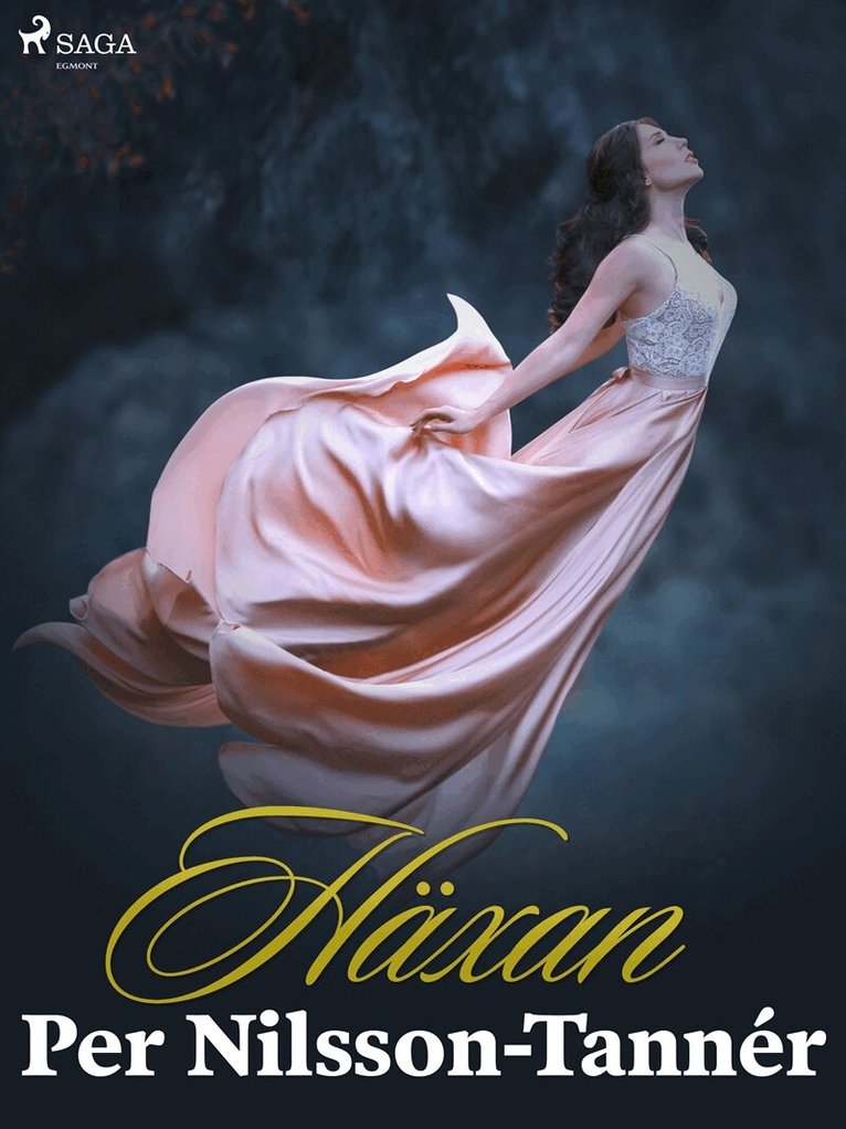 Per Nilsson-Tannér - Häxan, E-bok