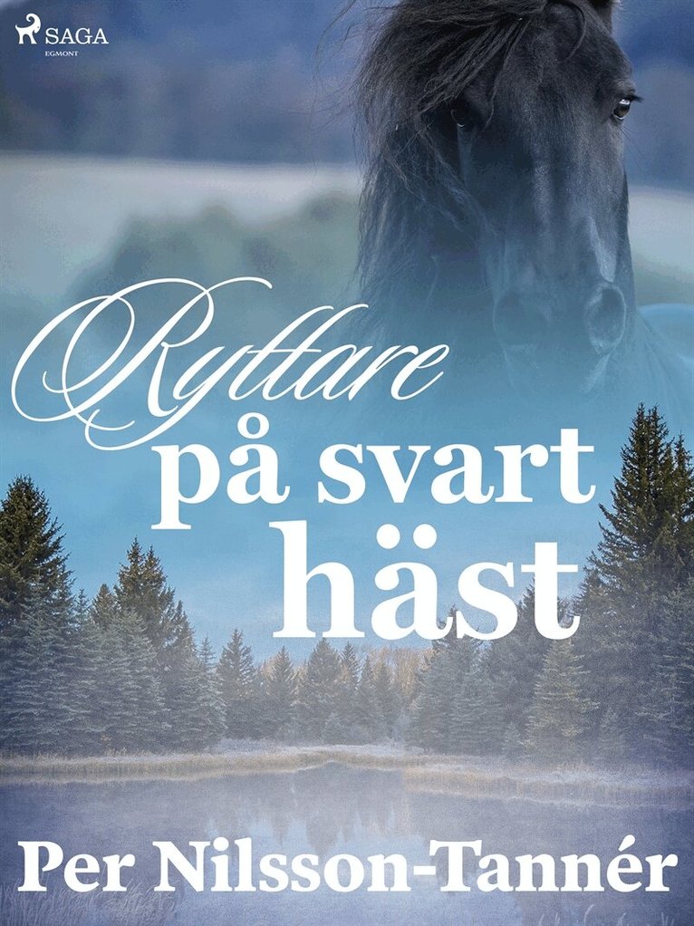 Per Nilsson-Tannér - Ryttare på svart häst, E-bok