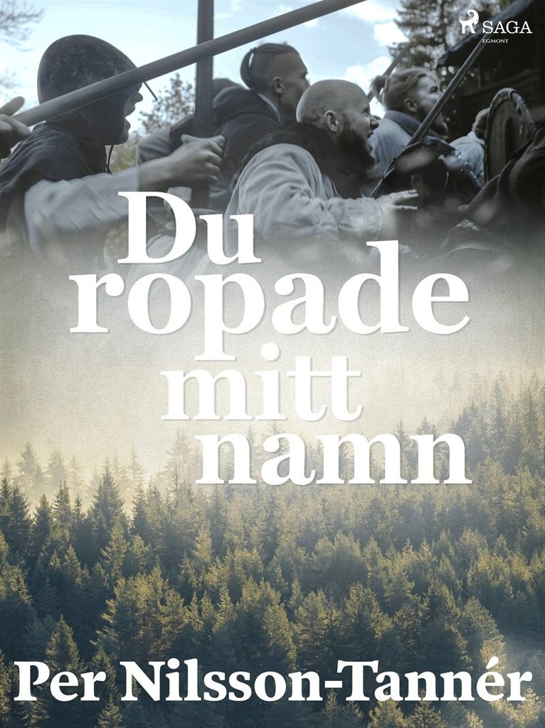 Per Nilsson-Tannér - Du ropade mitt namn, E-bok