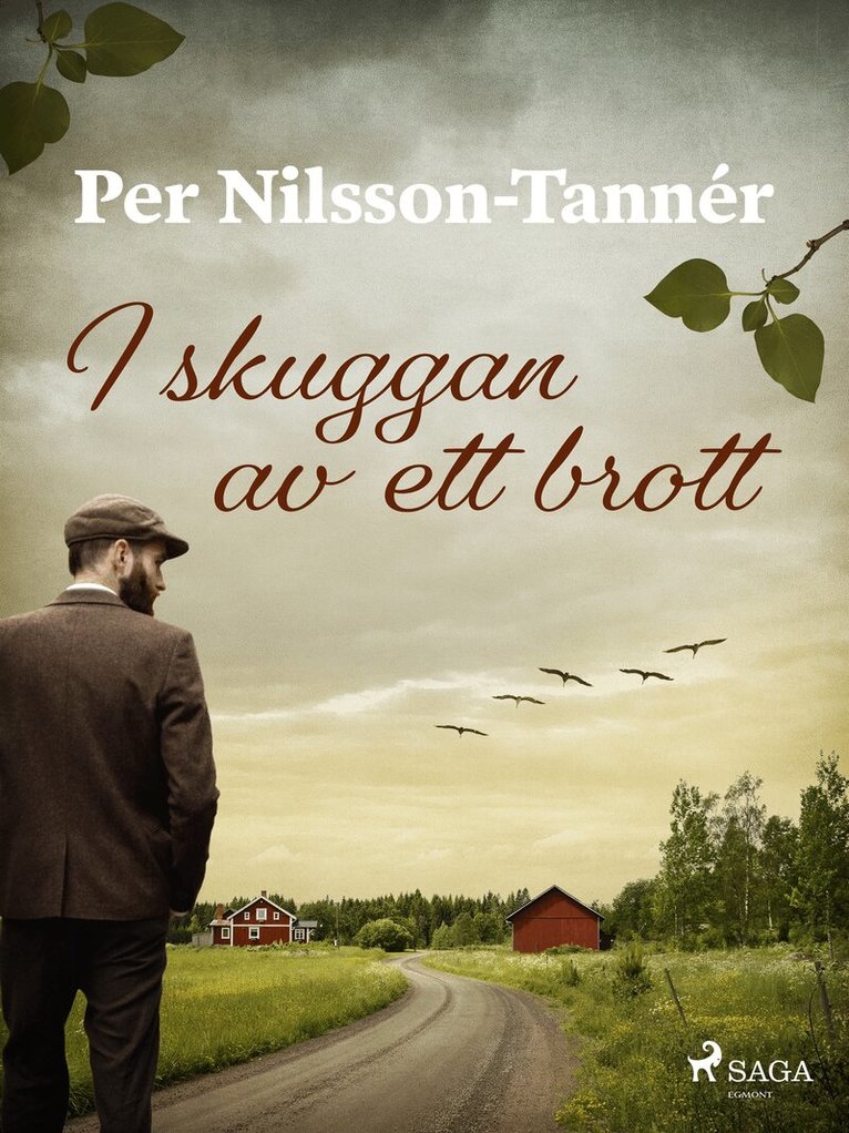 Per Nilsson-Tannér - I skuggan av ett brott, E-bok