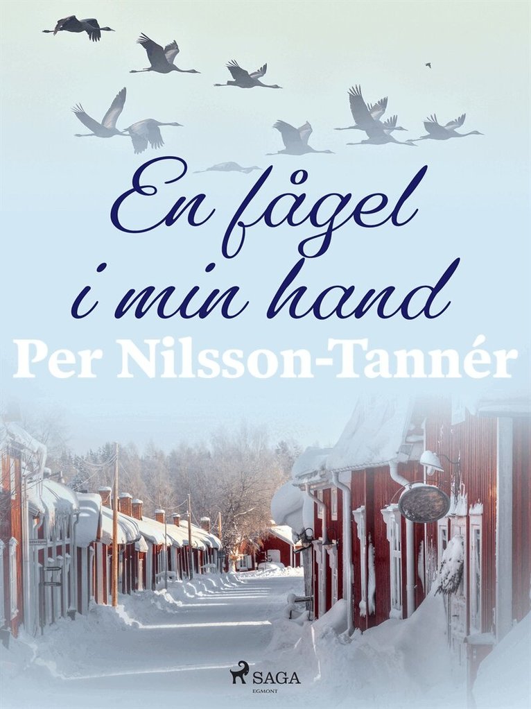 Per Nilsson-Tannér - En fågel i min hand, E-bok