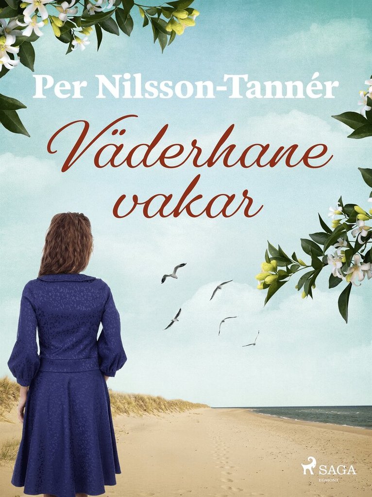 Per Nilsson-Tannér - Väderhane vakar, E-bok