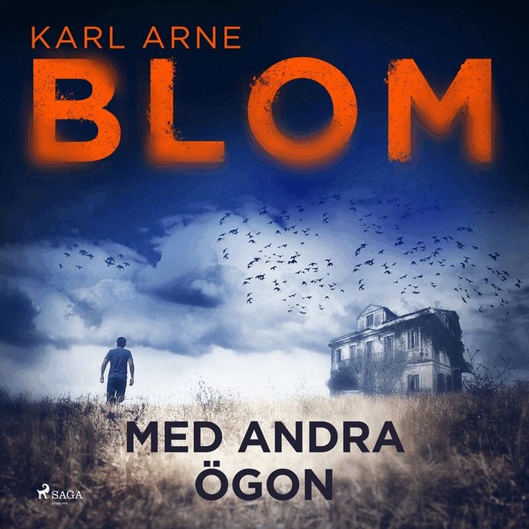 Karl Arne Blom - Med andra ögon, Ljudbok