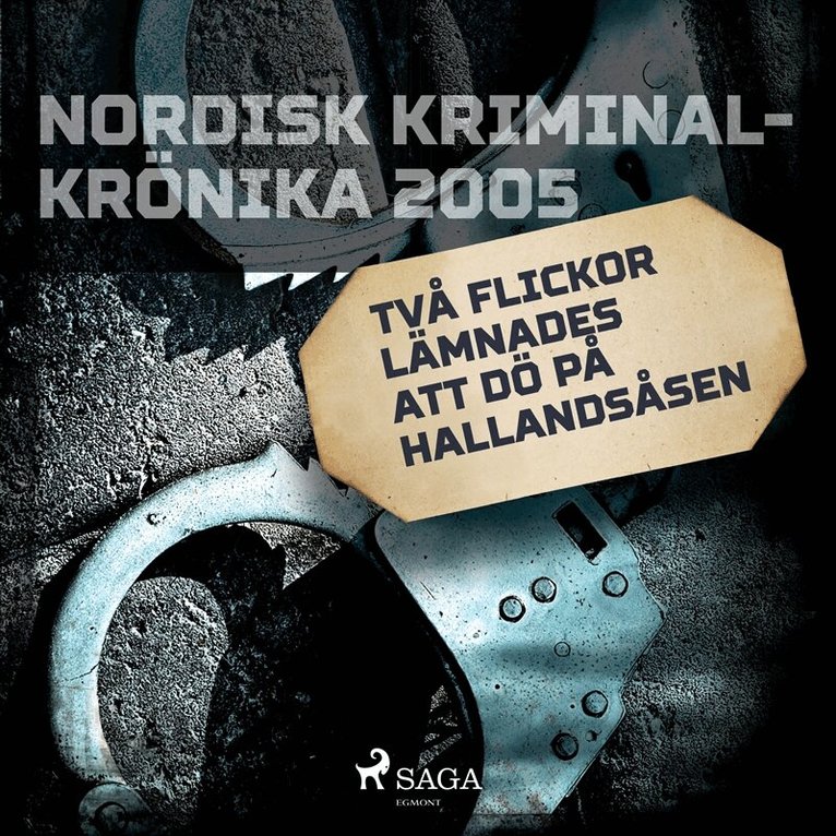 Diverse - Två flickor lämnades att dö på Hallandsåsen, Ljudbok