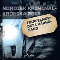 Trippelmordet i Hrnsand