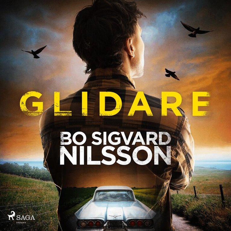 Bo Sigvard Nilsson - Glidare, Ljudbok