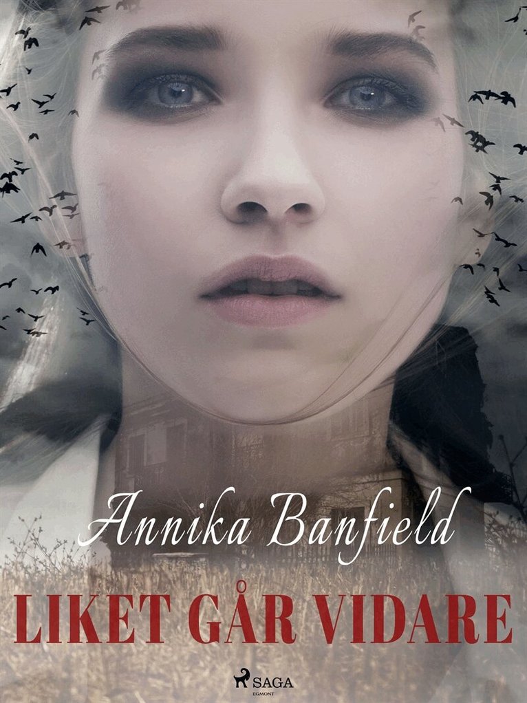 Annika Banfield - Liket går vidare, E-bok