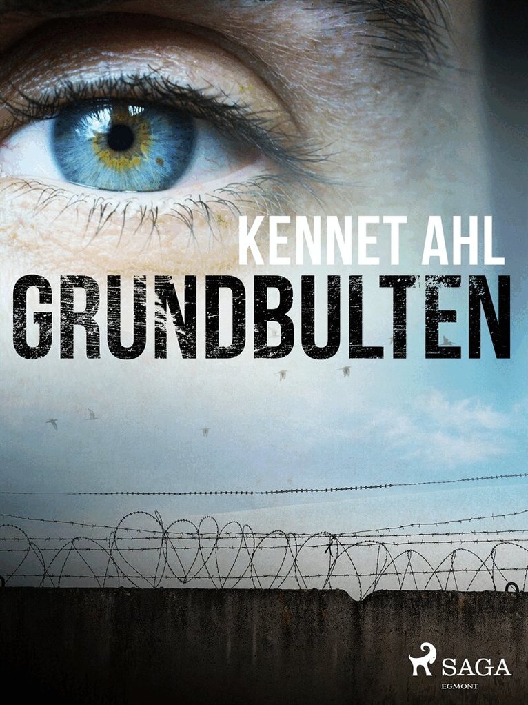 Kennet Ahl - Grundbulten, E-bok