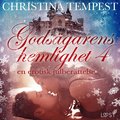Godsgarens hemlighet 4 ? en erotisk julberttelse