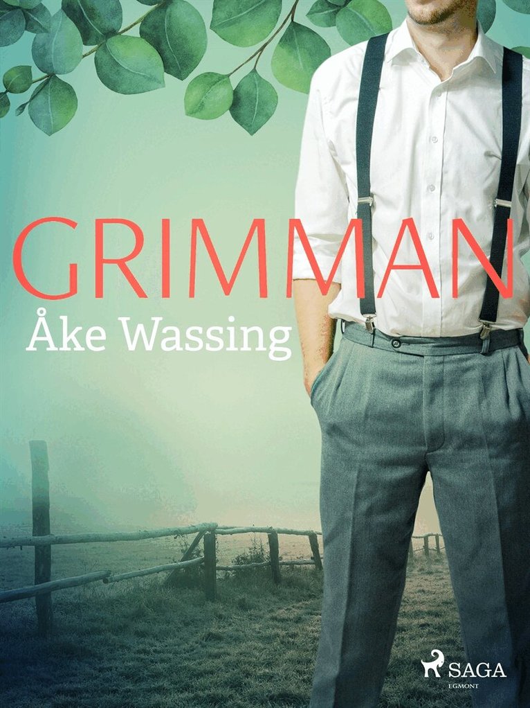 Åke Wassing - Grimman, E-bok