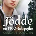 Jdde: en 1300-talspojke