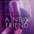 A New Friend - Sexy erotica