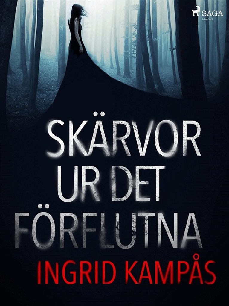 Ingrid Kampås - Skärvor ur det förflutna, E-bok